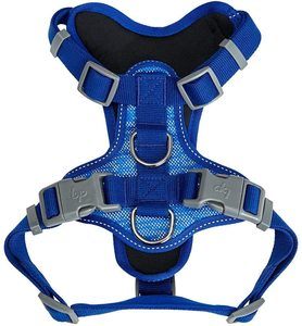 Blueberry Pet Harness