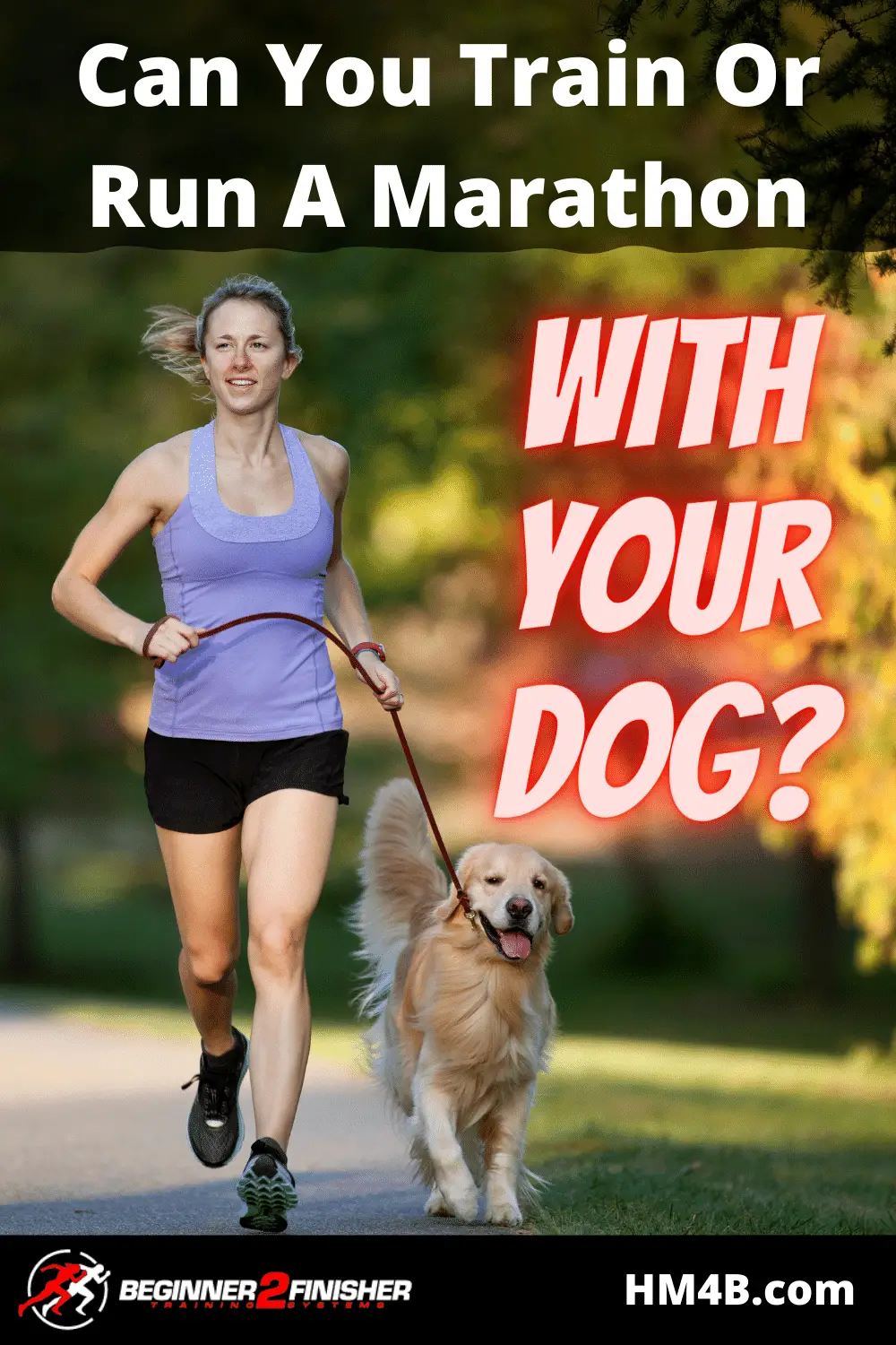 Can You Train Or Run A Half Marathon Or Marathon With A Dog?