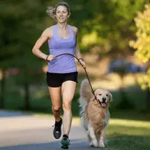 Can you train or run a marathon with a dog