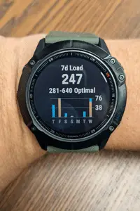 Garmin Fenix 6X Pro Screenshot 2